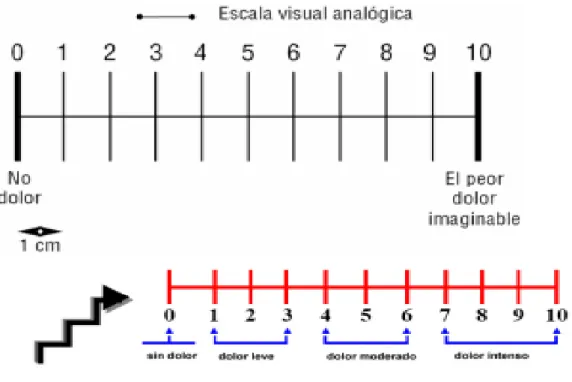 Ilustración 1: Escala Visual Analógica de Scott-Huskinson. (Extraído de Valoración y control de síntomas al final de  la vida