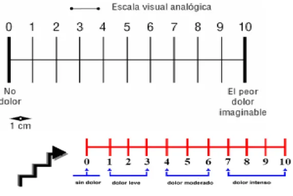 Ilustración 1: Escala Visual Analógica de Scott-Huskinson. (Extraído de Valoración y control de síntomas al final de  la vida
