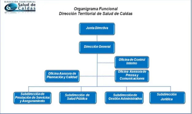 Figura 1 Estructura Organizacional