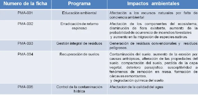 Tabla 13. Programas de manejo ambiental  