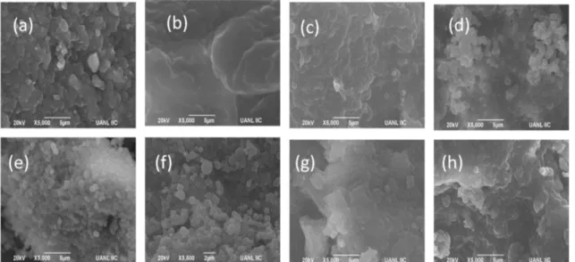 Figura 12. Micrografías: a) AG 1% , b) AG 3% ,c) AG 10%,  d) GM 1% , e) GM 3% ,f) GM 10% , g) Na G  y  h)S A .