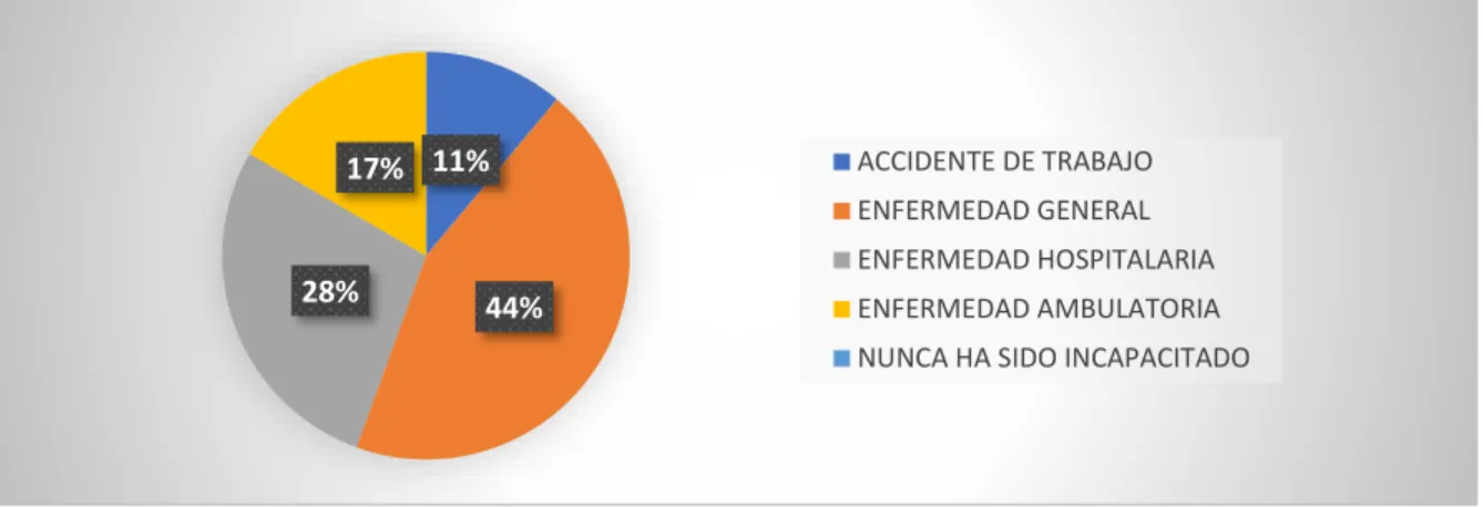 Gráfico 19 Elaboración propia 