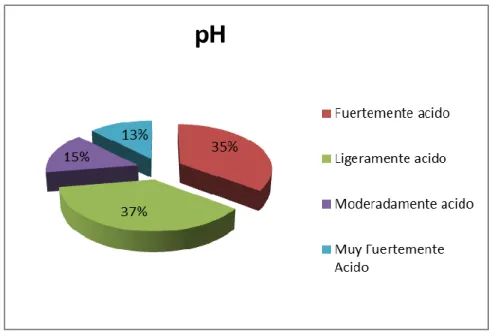 Figura 14. Caracterización de pH en las 40 unidades productivas  evaluadas 