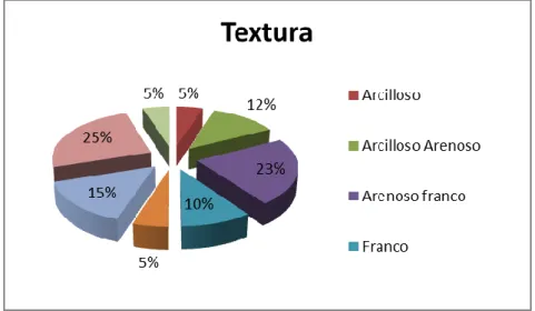 Figura 15. Caracterización del tipo de Textura en las 40 unidades  productivas evaluadas 