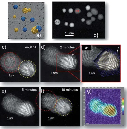 Fig. 1 (a) Schematic model representing the supported nanoparticles, (b) low magnification spherical-aberration (Cs) corrected STEM-HAADF images of Au (bright) and Pd (dark) nanoparticles