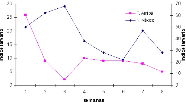 Figura 2.- Fluctuación del índice larvario de recipientes (ILR) de Aedes aegypti (L) en las  colonias Fernado Amilpa y Nuevo México tratadas con Vectobac 12 AS®, en el área urbana
