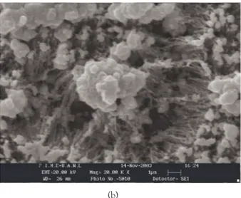 Fig. 3. Imagen de microscopía electrónica de barrido demuestra la presencia de los nanotubos alineados