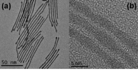Figure 2. (a) TEM image and (b) HRTEM bright- ﬁeld image of the icosahedral nanowires of Ag/Au.