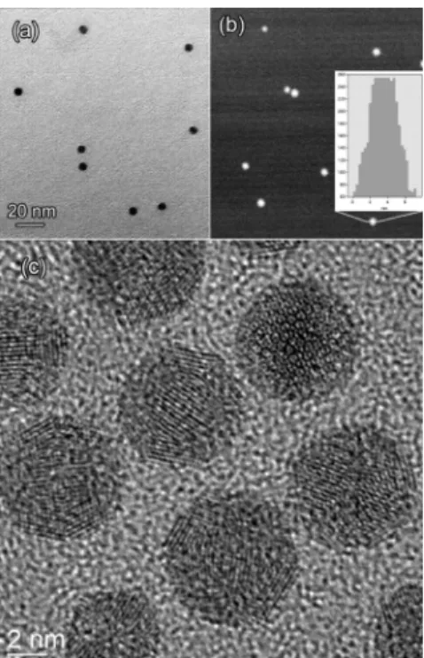 Figure 1. Microstructure and distribution of the FePt nanoparticles. (a) Standard bright-field TEM of the nanoparticles on carbon support films show homogenously distributed particles with identical sizes of about 5-6 nm