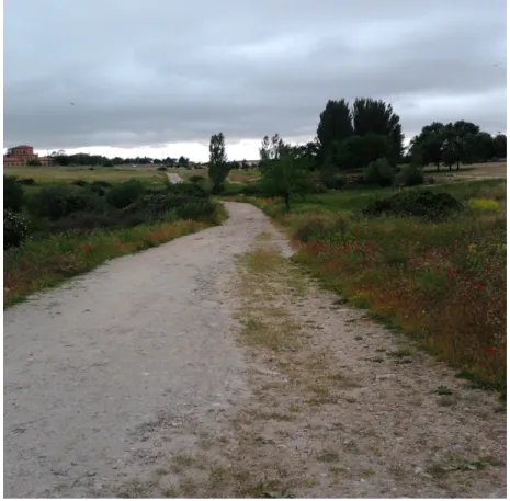 Fig. 1. Sendero y zona de actividad 