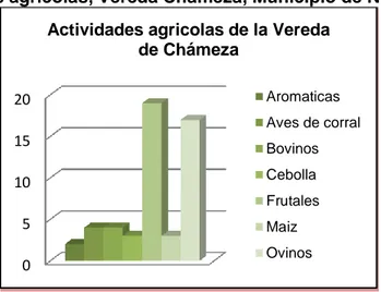 Figura 8 Actividades agrícolas, Vereda Chámeza, Municipio de Nobsa Boyacá. 