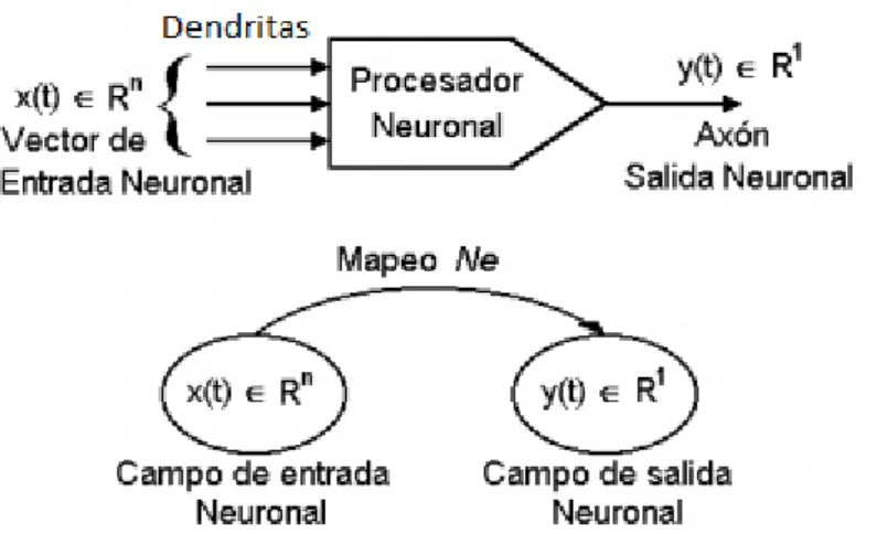 Figura 3.3 Un modelo neuronal simple como un procesador con múltiples entradas  (dendritas) y una sola salida (axón)