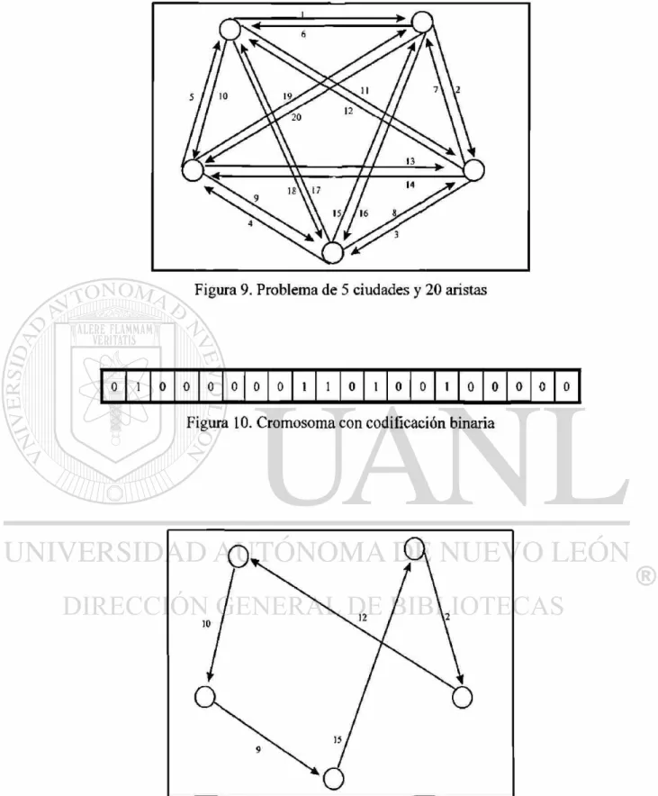 Figura 10. Cromosoma con codificación binaria 