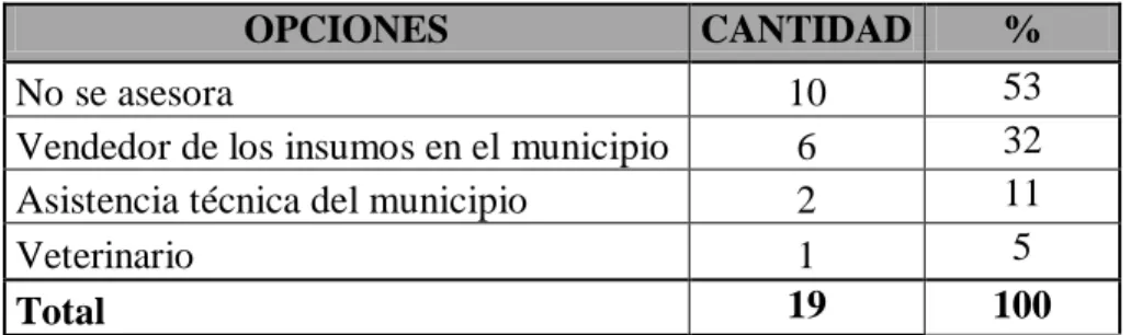 Tabla 9. Consultoría 