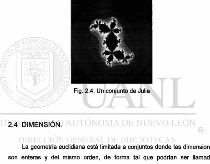 Fig. 2.4. Un conjunto de Julia 