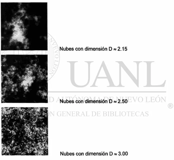 Fig. 2.5. La dimensión 