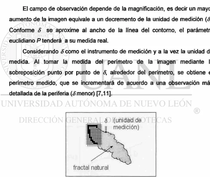 Fig. 2.8. Esquema del procedimiento de análisis de imágenes. 