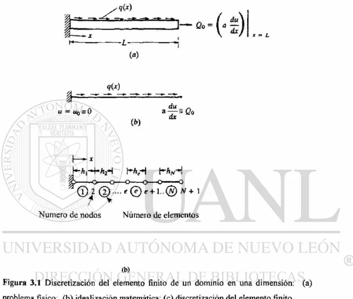 Figura 3.1 Discretización del elemento finito de un dominio en una dimensión:  problema físico, (b) idealización matemática; (c) discretización del elemento finito