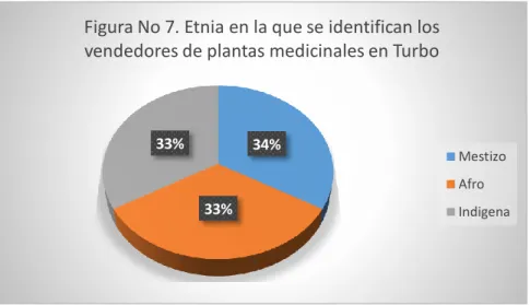 Figura No 7. Etnia en la que se identifican los  vendedores de plantas medicinales en Turbo