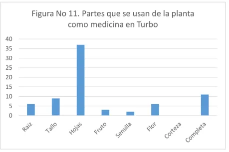 Figura No 11. Partes que se usan de la planta  como medicina en Turbo