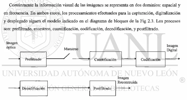 Fig. 2.3. Modelo del procesamiento de la información visual. 