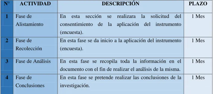 Tabla 1. Descripción de Actividades