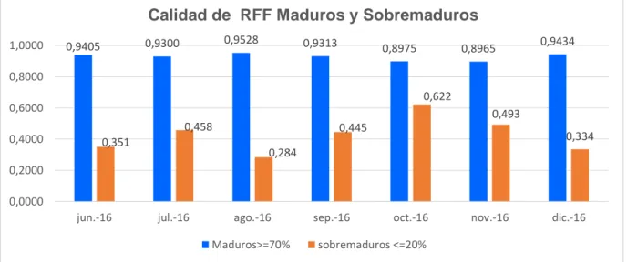 Figura n°4 Calidad de  RFF Maduros y Sobremaduros  