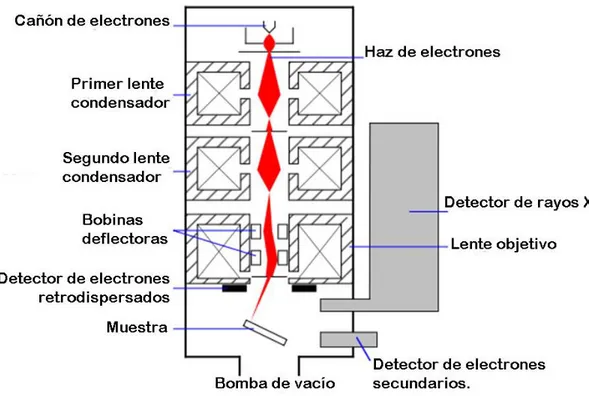 Figura 5.6. Esquema del funcionamiento de un microscopio electrónico de 