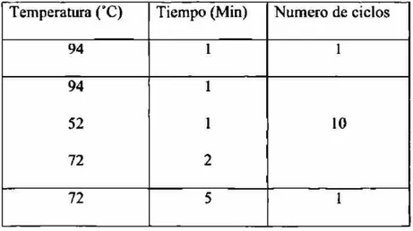 Tabla 5. Ciclos de temperatura utilizados para obtener el producto de amplificación.  Temperatura (&#34;C)  Tiempo (Min)  Numero de ciclos 