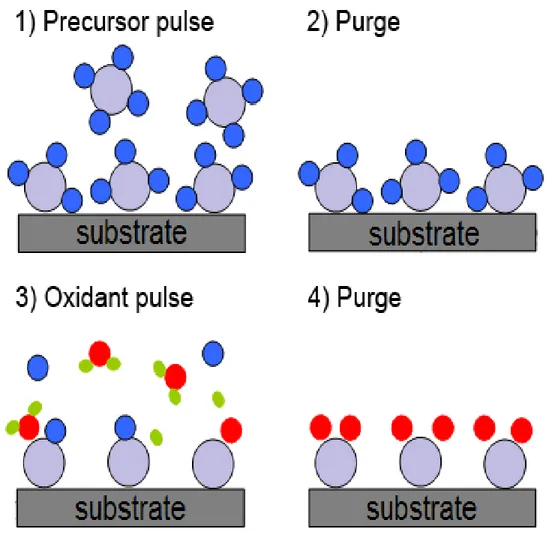 FIGURA 7. Esquema de crecimiento de capas atómicas por ALD. 