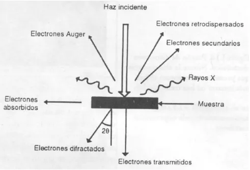 FIGURA 10. Tipos de señales que se producen durante la interacción del haz electrónico  con la muestra 
