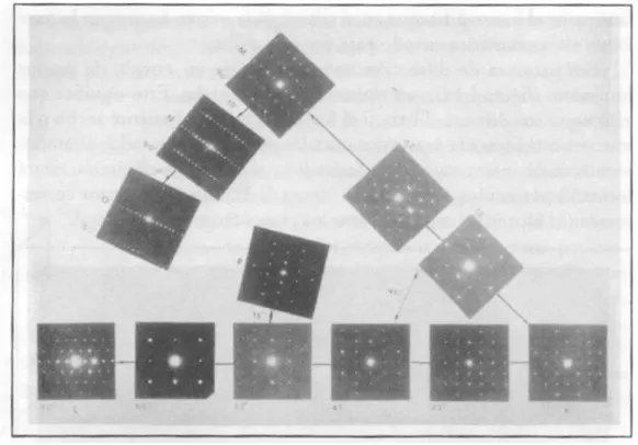 FIGURA 12. Estereograma de los patrones de difracción presentados por la muestra. 