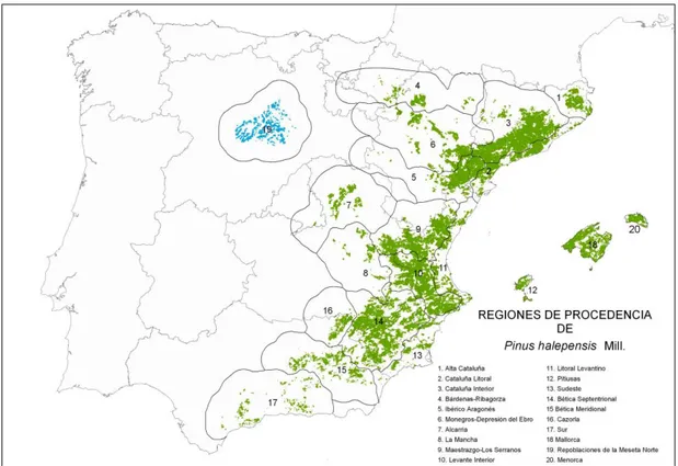 Figura 3.3. Distribución del pino carrasco en España. Color verde: masas autóctonas.  Color  azul:  masas  no  autóctonas
