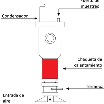 Figura 5. Configuración del reactor airlift utilizado 