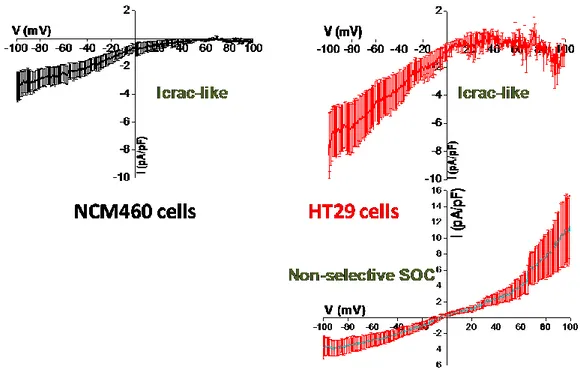 Figura  6.  Corrientes  activadas  por  depósitos  en  células  normales  (NCM460)  y  tumorales  (HT29)