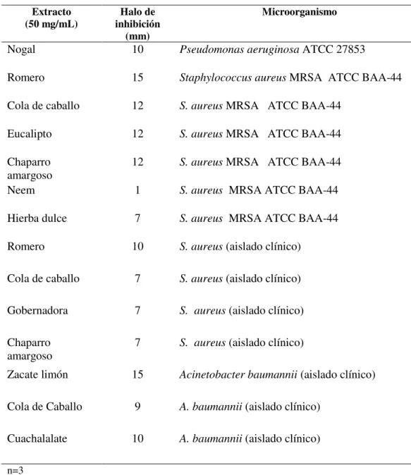Tabla 12. Plantas en estudio que mostraron actividad antibacteriana.