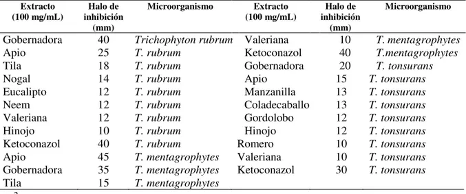 Tabla  13.  Actividad  antifúngica  de  los  extractos  metanólicos  de  las  plantas  en  estudio  sobre  el  género  Trichophyton