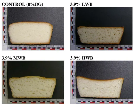 Figure 3. Cross-sections of gluten-free breads formulated with  β-glucan preparations 