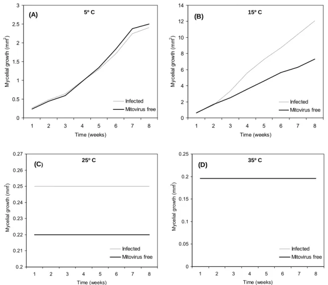Fig 7  Average growth from mitovirus-infected and mitovirus-free isolates at 5 ºC (a), 15 ºC (b), 25 ºC  (c) and 35 ºC (d) over the eight weeks