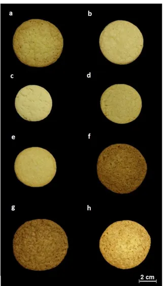 Figure 1.- Images of cookies made from wheat flour: (a) control cookie, with insoluble fibres (b)  fine-grained bamboo, (c) coarse-grained bamboo, (d) potato and (e) pea and with soluble fibres  (f) nutrioese, (g) polydextrose and (h) inulin