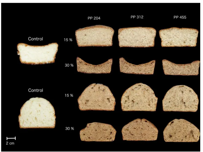 Figure 5. Slices of sponge cakes (a) and layer cakes (b) with different levels of replacement (15-30%) and particle sizes of pear pomace-PP (200,  500 and 750 µm)   