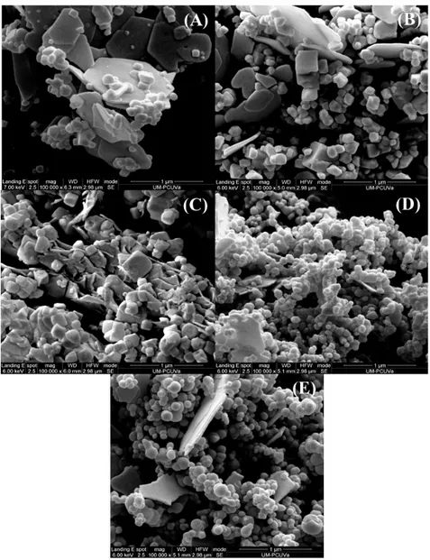 Fig. 2. SEM images of DMC catalysts prepared with different initial concentrations of  Zn and Co