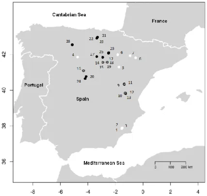 Fig. 3: Study areas of the three pine species in Spain. White: P. halepensis; grey: P