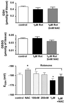 Fig. 1. Effects of the complex I blocker, rotenone (0.1–1 ␮M), and the antioxidant NAC (2 mM) on GSH, GSSG, and glutathione redox potential in rat diaphragm