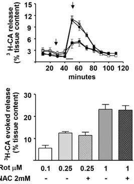 Fig. 2. Effects of mitochondrial poisons on E GSH in rat diaphragm. Top panel shows E GSH in control tissues (empty bar), in tissues treated with 2 mM NAC (grey bar) and in tissues incubated with different mitochondrial poisons as labeled in the drawing (R