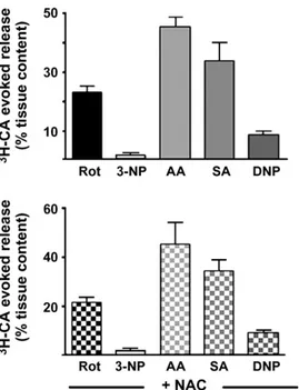 Fig. 5. Effects of mitochondrial poisons on ATP levels in the CB. Upper panel shows