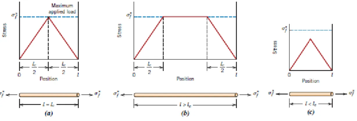Fig. 2.7:   Stress-position depending on the length of the fibre. [CR14] 