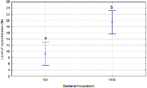 Figure 1. Effect of co-inoculation of B. edulis and P. flourescens on mycorrhization 