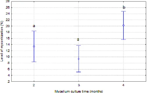 Figure  2.  Effect  of  the  mycelium  culture  time  on  mycorrhization  level.  Different  letters indicate significant differences according to LSD at P<0.05 levels.