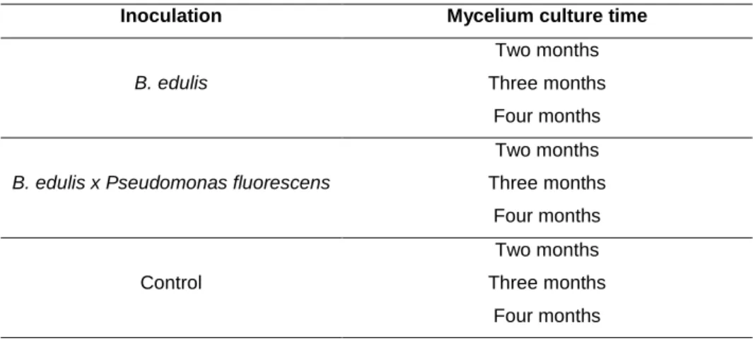 Table 1. Experimental design 